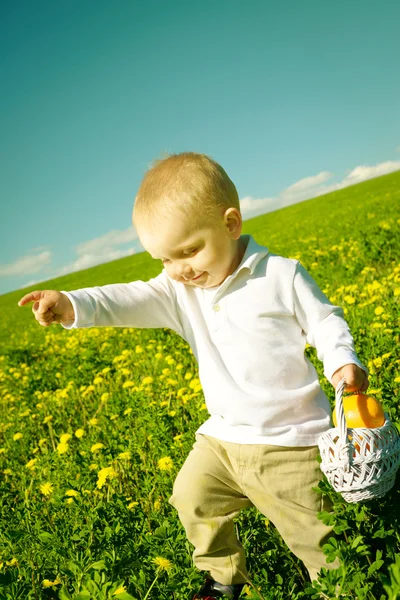 Little boy child in summer picnic with basket of fruit — Stock Photo, Image