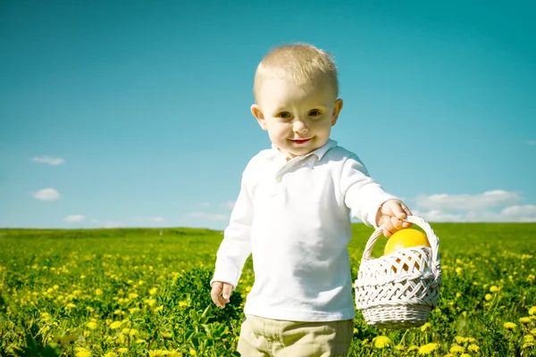 Malý chlapec v letní piknik s košíkem ovoce — Stock fotografie