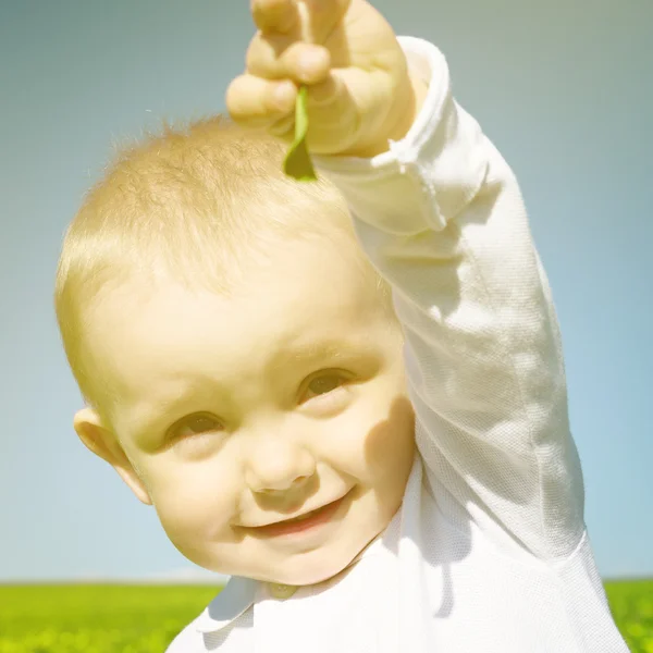 Mały chłopiec dziecko z koniczyny w lecie — Zdjęcie stockowe