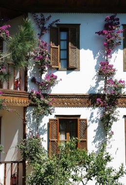 Teras ve çiçekler otel.