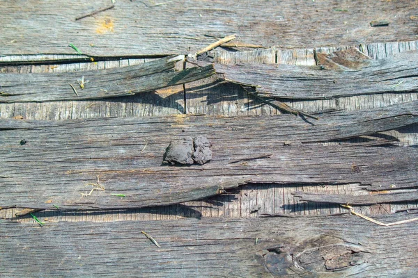 Wood texture — Stock Photo, Image