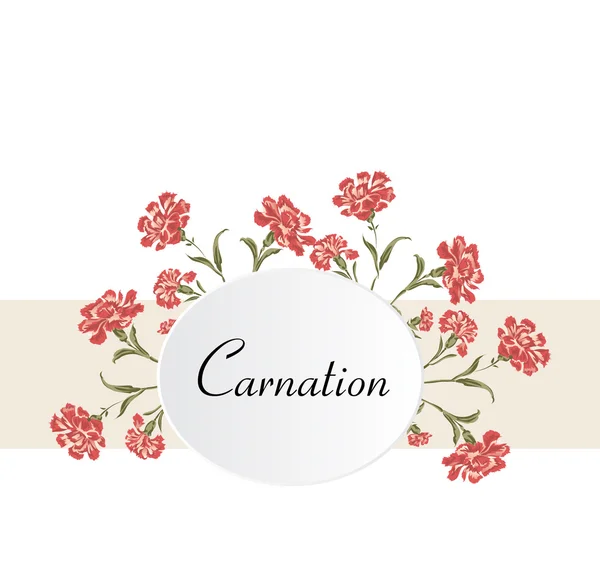 Vintage carnations background — Stock Vector