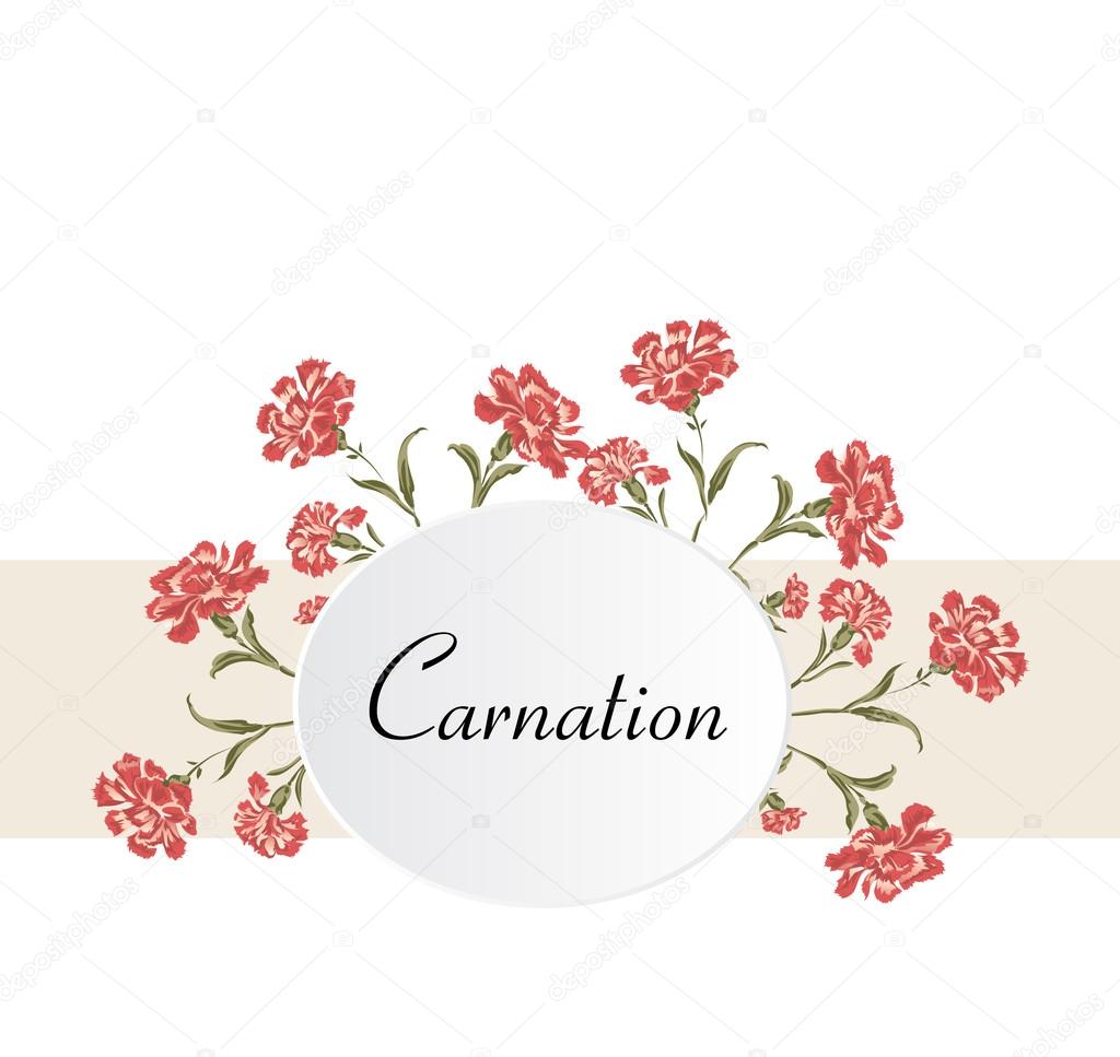 Vintage carnations background