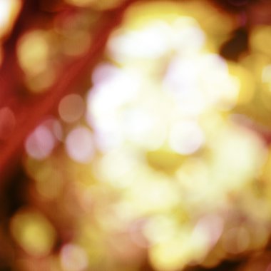 Soyut sonbahar arkaplanı