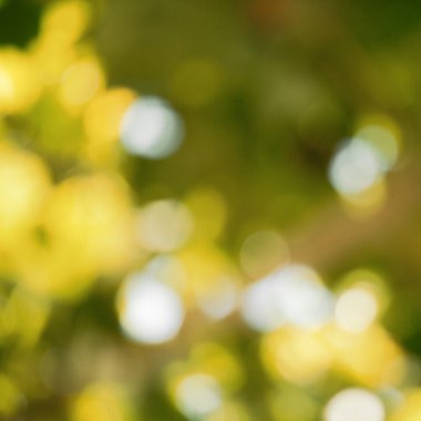 Soyut sonbahar arkaplanı