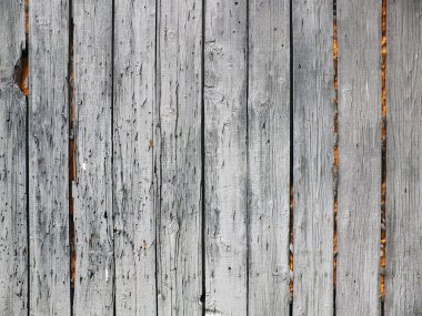 ahşap doku arkaplanı