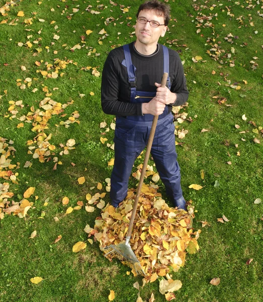 Jardinería, rastrillar hojas en el otoño — Foto de Stock