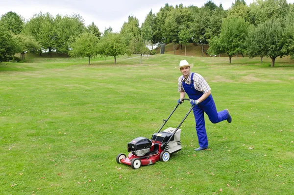 園芸、芝生を刈る男 — ストック写真