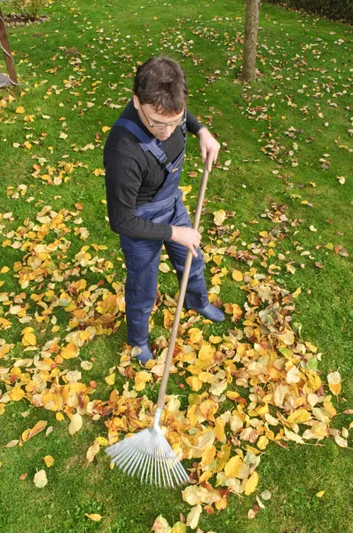 Jardinagem, raking folhas no outono — Fotografia de Stock