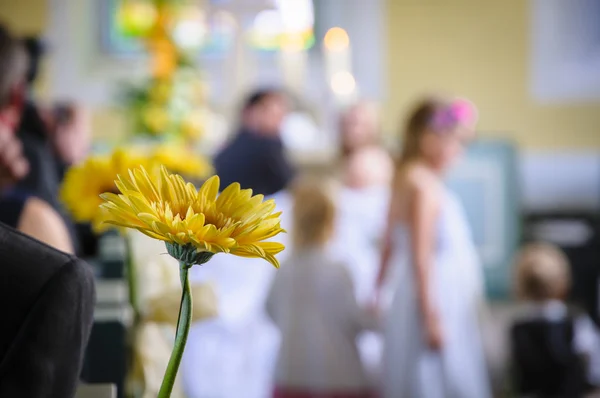 Cerimonia nuziale — Foto Stock