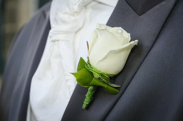 Bridegroom with flower — Stock Photo, Image