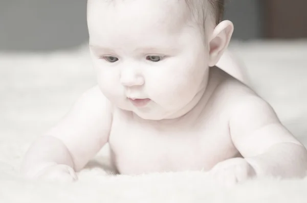 Doce littel Baby Close Up — Fotografia de Stock