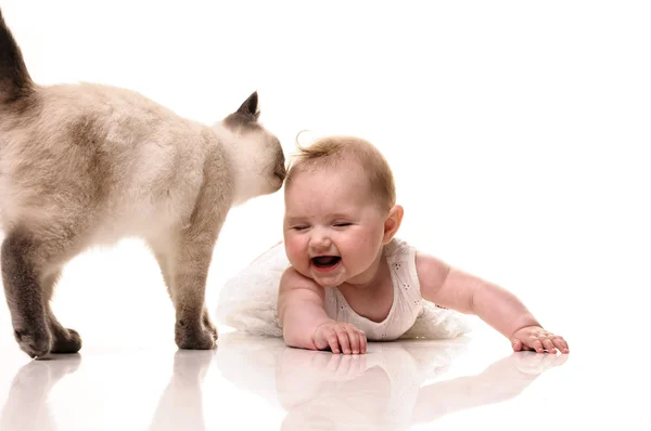 Bebé con gatito — Foto de Stock