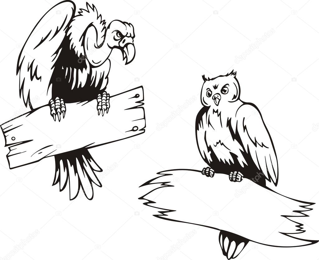 Vulture and owl with boards