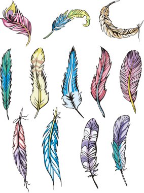 Motley feathers clipart