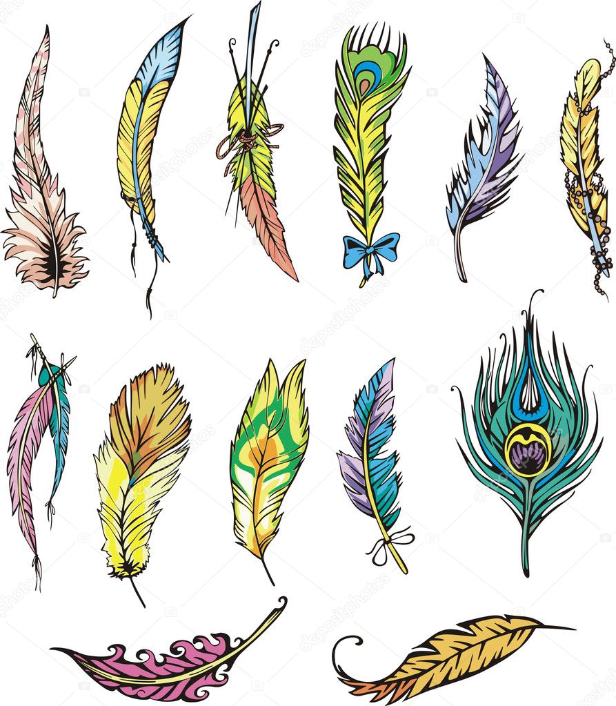 Motley feathers