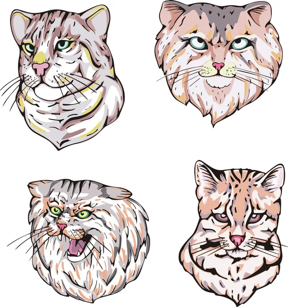 Heads of cats — Stock Vector