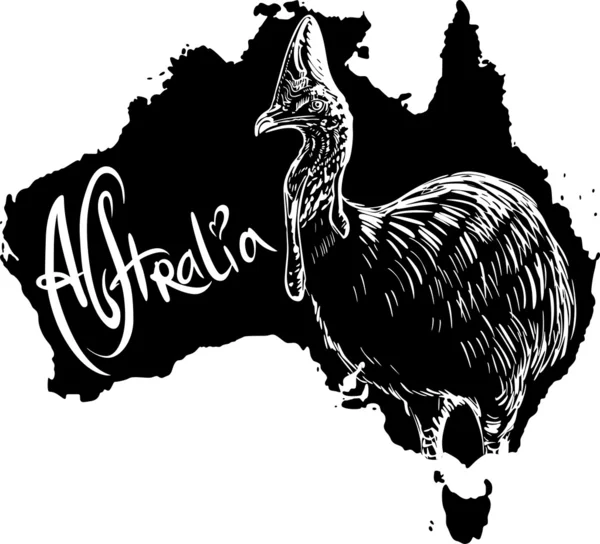 Cassowary jako australský symbol — Stockový vektor