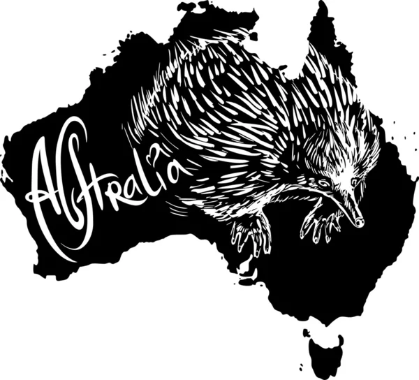 Echidna als australisches Symbol — Stockvektor