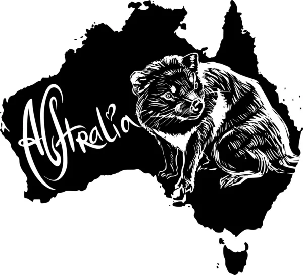 El diablo de Tasmania como símbolo australiano — Archivo Imágenes Vectoriales