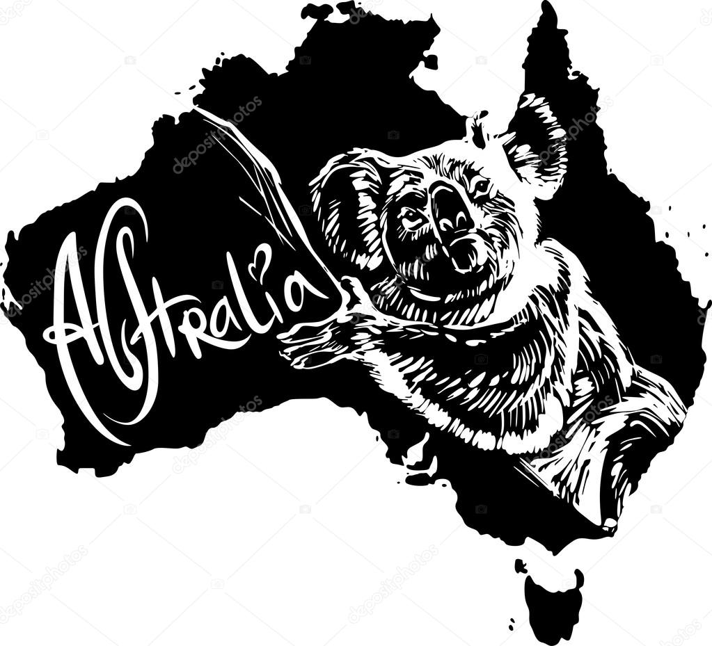 Koala as Australian symbol