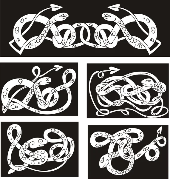 Celtic knot patterns with snakes — Stock Vector