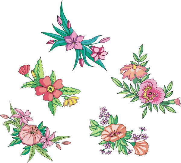 Diverse rosa blommor för prydnadsföremål — Stock vektor