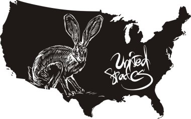 Black-tailed jackrabbit and U.S. outline map clipart