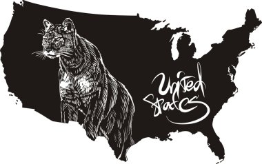 Cougar and U.S. outline map clipart