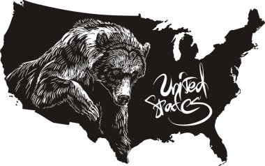 Grizzly bear and U.S. outline map clipart