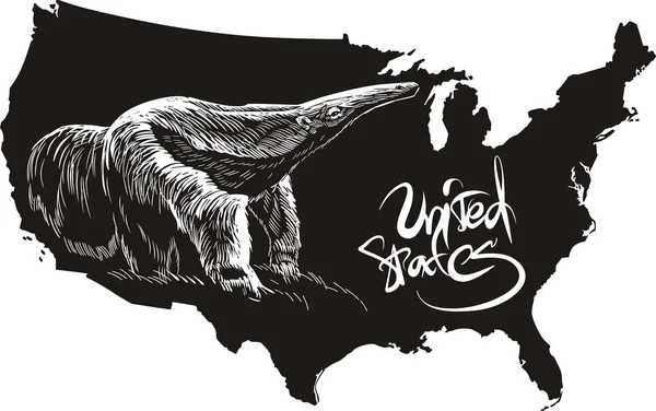 Anteater and U.S. outline map — Stock Vector