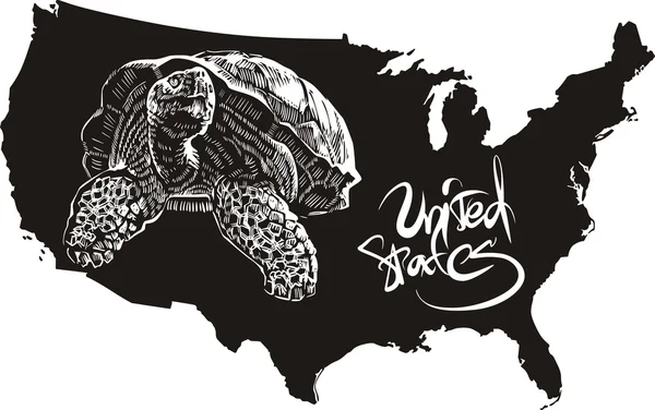 Tartaruga e EUA esboço mapa — Vetor de Stock