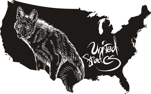 Coyote and U.S. outline map — Stock Vector