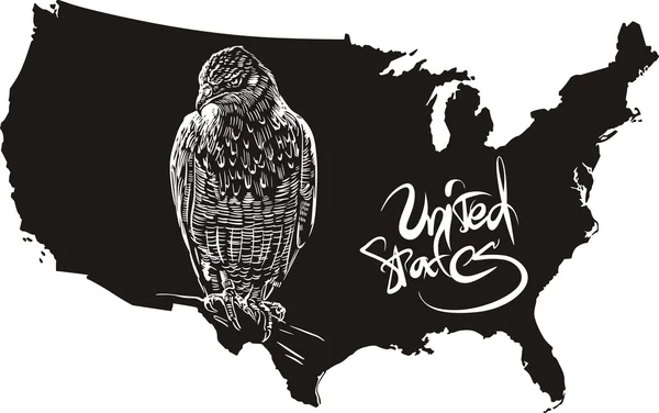 Hawk e EUA esboço mapa — Vetor de Stock