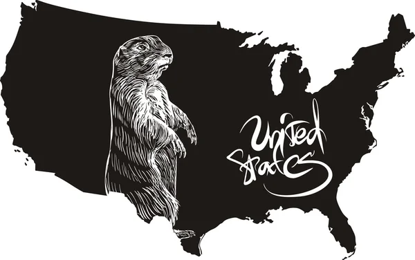 Marmot and U.S. outline map — Stock Vector