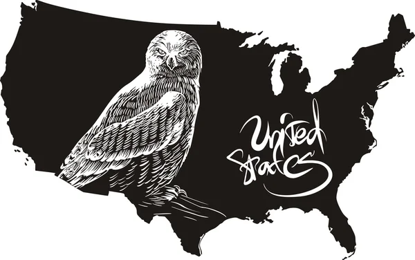 Owl and U.S. outline map — Stock Vector