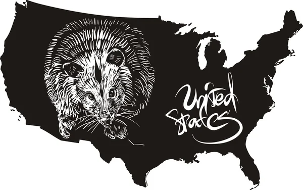 Opossum และแผนที่โครงร่างของสหรัฐอเมริกา — ภาพเวกเตอร์สต็อก