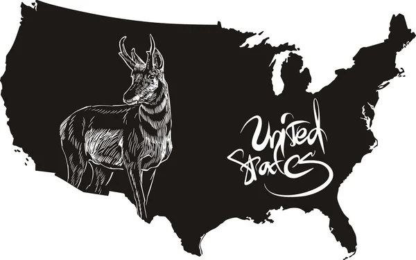 Carte générale de Pronghorn et des États-Unis — Image vectorielle