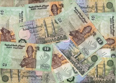 Mısır 50 dolar faturaları arka planı