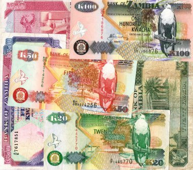Zambiya kwacha banknotların arka planı