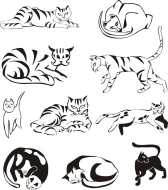 Anahat kediler kümesi