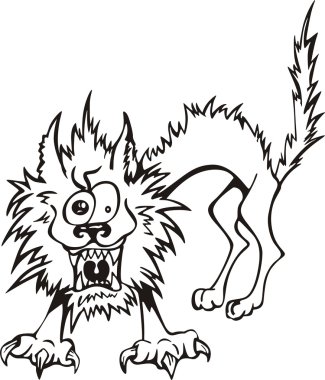 fırfır yakalı kedi