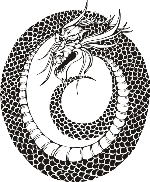 Círculo del dragón — Vector de stock