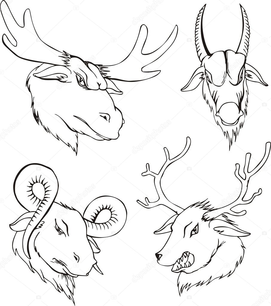 Aggressive heads of deers and goats