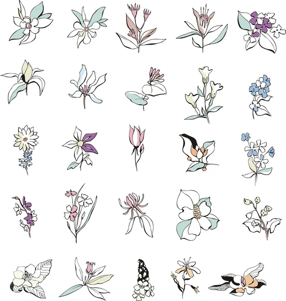 Bocetos de flores simples — Vector de stock