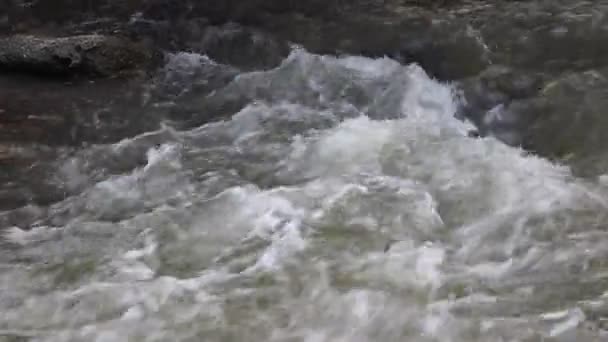 Cours d'eau dans le ruisseau après la pluie 