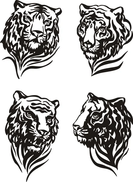 4 tiger heads — Stock Vector