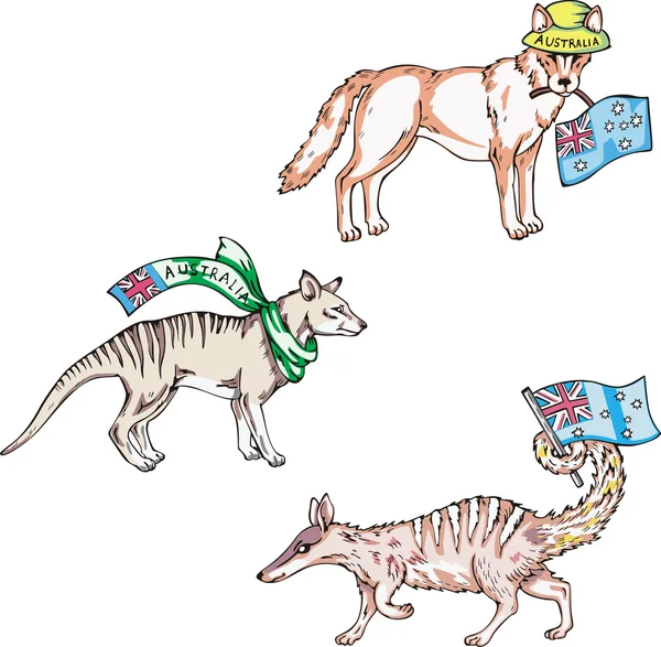 Australische dieren - dingo, Buidelwolf, numbat — Stockvector