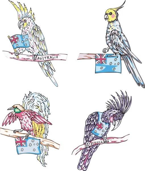 Австралійські папуги — стоковий вектор