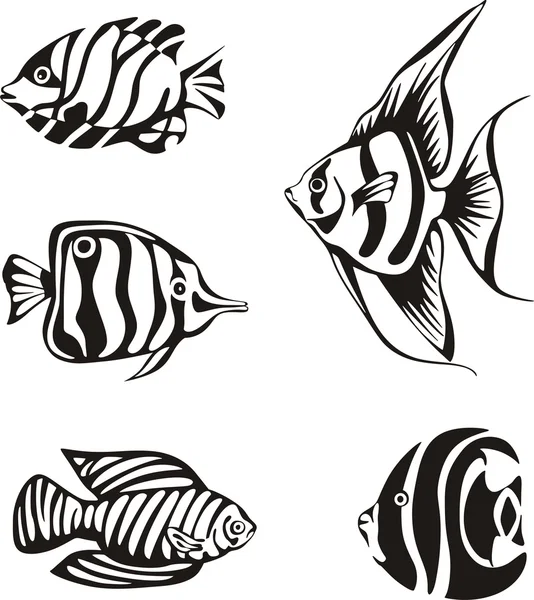 Σύνολο από μαύρο και άσπρο τροπικά ψάρια — Διανυσματικό Αρχείο